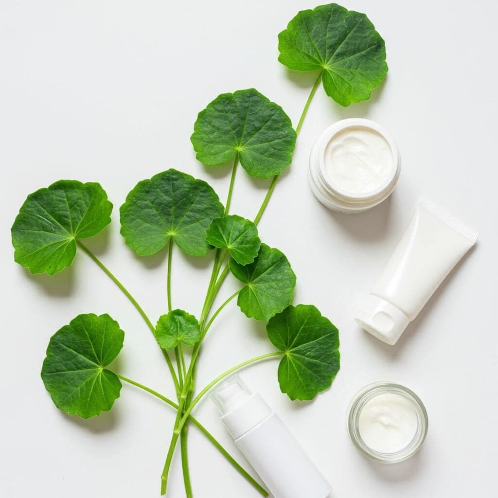 First Faith Centella Asiatica ingredient